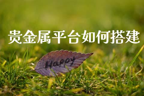 贵金属平台如何搭建_https://m.sdyuehang.cn_纳指直播喊单_第1张