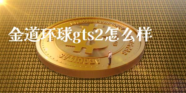 金道环球gts2怎么样_https://m.sdyuehang.cn_国际期货恒指直播间_第1张