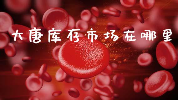 大唐库存市场在哪里_https://m.sdyuehang.cn_恒指直播_第1张
