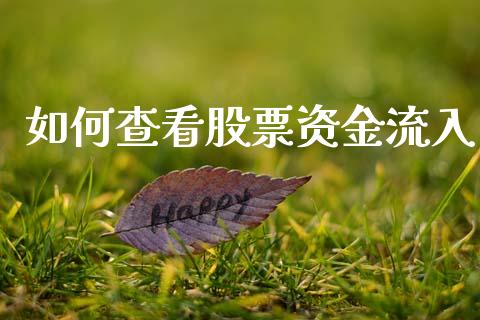 如何查看股票资金流入_https://m.sdyuehang.cn_纳指直播喊单_第1张