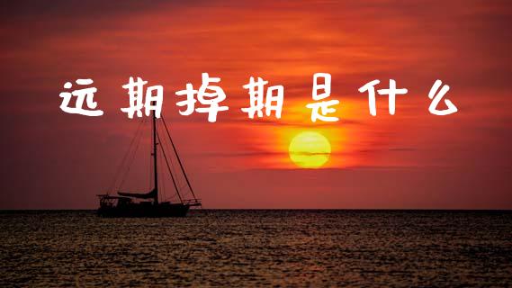 远期掉期是什么_https://m.sdyuehang.cn_恒指直播_第1张