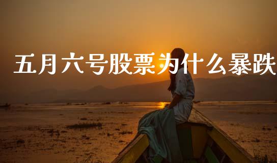 五月六号股票为什么暴跌_https://m.sdyuehang.cn_德指直播室_第1张