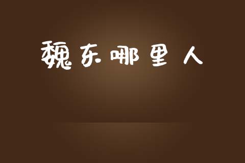 魏东哪里人_https://m.sdyuehang.cn_国际期货恒指直播间_第1张