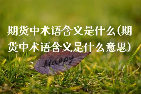 期货中术语含义是什么(期货中术语含义是什么意思)_https://m.sdyuehang.cn_国际期货恒指直播间_第1张