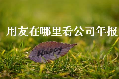 用友在哪里看公司年报_https://m.sdyuehang.cn_纳指直播喊单_第1张