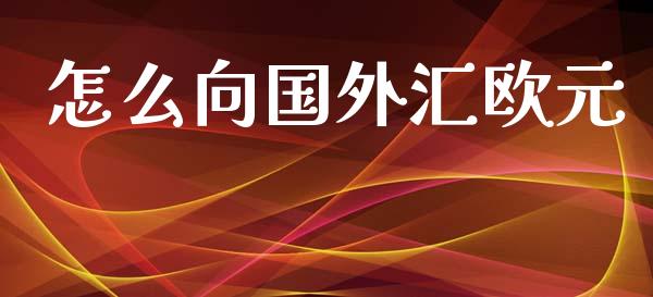 怎么向国外汇欧元_https://m.sdyuehang.cn_恒指直播_第1张