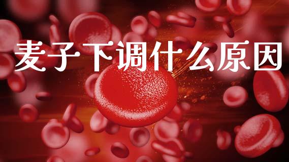 麦子下调什么原因_恒指直播_第1张_恒指直播_国际期货恒指直播间_德指直播室_纳指直播喊单 麦子下调什么原因_https://m.sdyuehang.cn_恒指直播_第1张