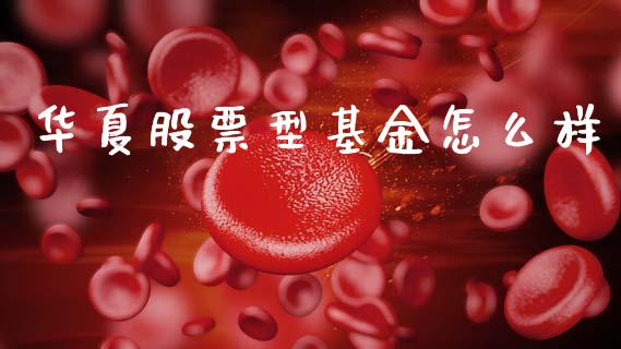 华夏股票型基金怎么样_https://m.sdyuehang.cn_德指直播室_第1张