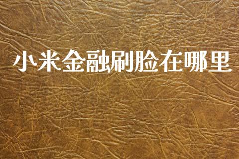 小米金融刷脸在哪里_https://m.sdyuehang.cn_德指直播室_第1张
