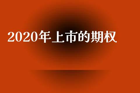 2020年上市的期权_https://m.sdyuehang.cn_恒指直播_第1张