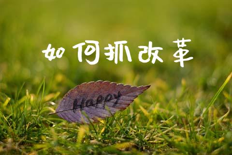 如何抓改革_https://m.sdyuehang.cn_国际期货恒指直播间_第1张