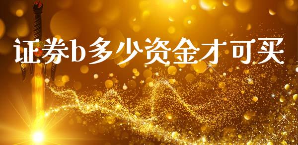 证券b多少资金才可买_https://m.sdyuehang.cn_恒指直播_第1张