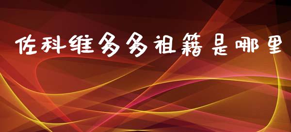 佐科维多多祖籍是哪里_https://m.sdyuehang.cn_纳指直播喊单_第1张