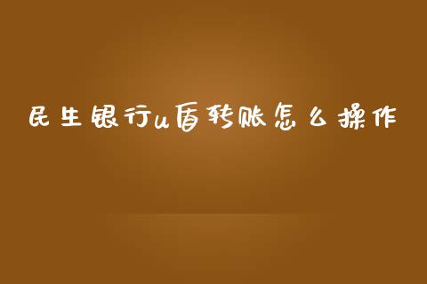 民生银行u盾转账怎么操作_https://m.sdyuehang.cn_纳指直播喊单_第1张