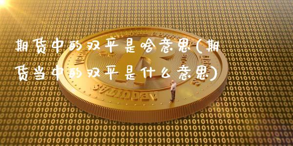 期货中的双平是啥意思(期货当中的双平是什么意思)_https://m.sdyuehang.cn_恒指直播_第1张