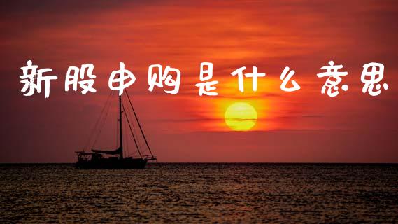 新股申购是什么意思_https://m.sdyuehang.cn_纳指直播喊单_第1张