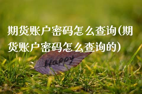 期货账户密码怎么查询(期货账户密码怎么查询的)_https://m.sdyuehang.cn_国际期货恒指直播间_第1张