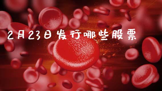 2月23日发行哪些股票_https://m.sdyuehang.cn_国际期货恒指直播间_第1张