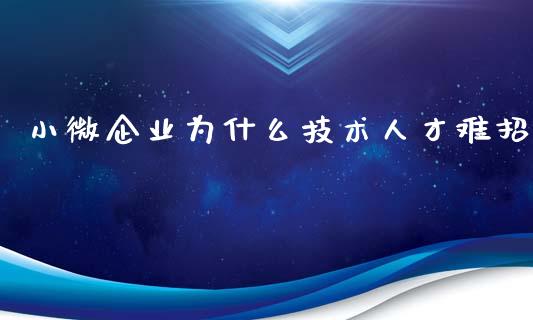 小微企业为什么技术人才难招_https://m.sdyuehang.cn_纳指直播喊单_第1张