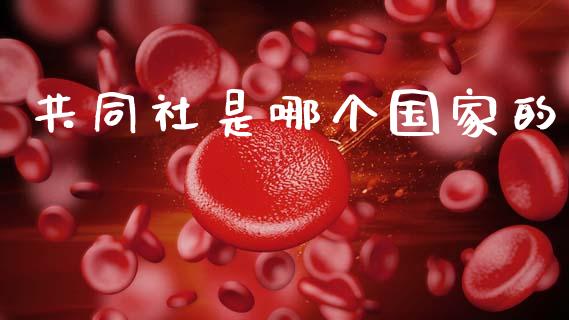 共同社是哪个国家的_https://m.sdyuehang.cn_纳指直播喊单_第1张