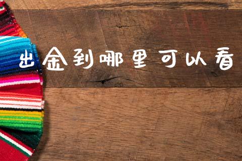 出金到哪里可以看_https://m.sdyuehang.cn_恒指直播_第1张