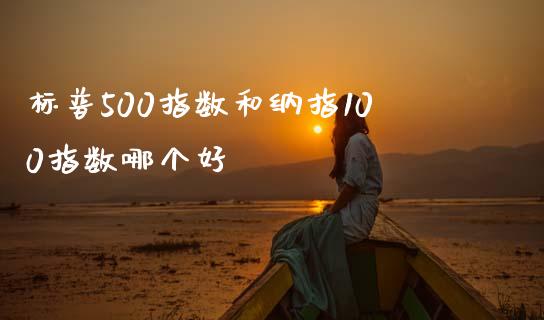 标普500指数和纳指100指数哪个好_https://m.sdyuehang.cn_国际期货恒指直播间_第1张