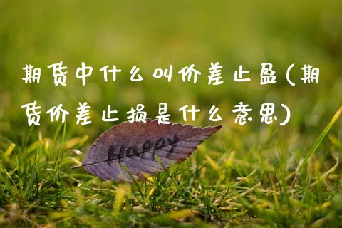 期货中什么叫价差止盈(期货价差止损是什么意思)_https://m.sdyuehang.cn_国际期货恒指直播间_第1张