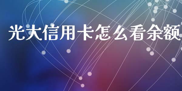 光大信用卡怎么看余额_https://m.sdyuehang.cn_纳指直播喊单_第1张