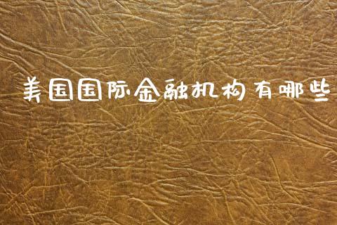 美国国际金融机构有哪些_https://m.sdyuehang.cn_纳指直播喊单_第1张