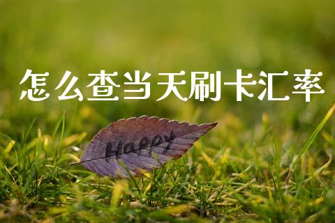 怎么查当天刷卡汇率_https://m.sdyuehang.cn_国际期货恒指直播间_第1张