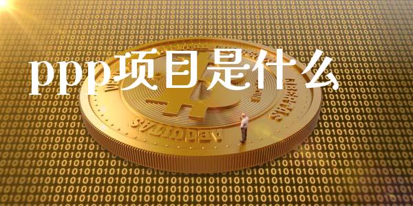 ppp项目是什么_https://m.sdyuehang.cn_国际期货恒指直播间_第1张