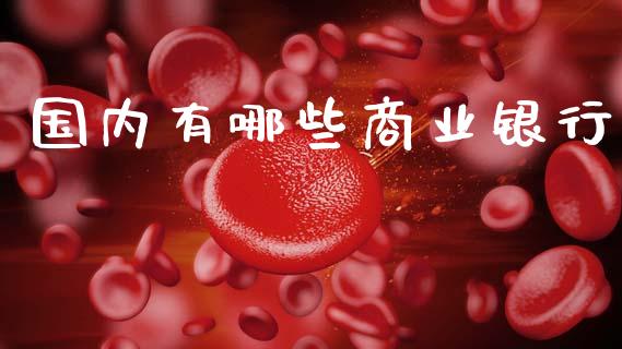 国内有哪些商业银行_https://m.sdyuehang.cn_国际期货恒指直播间_第1张