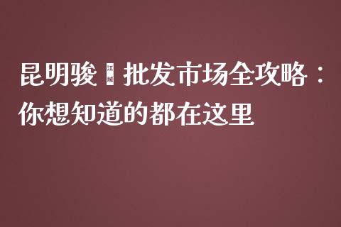 昆明骏骐批发市场全攻略：你想知道的都在这里_https://m.sdyuehang.cn_纳指直播喊单_第1张
