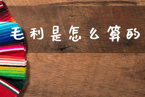 毛利是怎么算的_https://m.sdyuehang.cn_国际期货恒指直播间_第1张