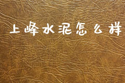 上峰水泥怎么样_https://m.sdyuehang.cn_纳指直播喊单_第1张