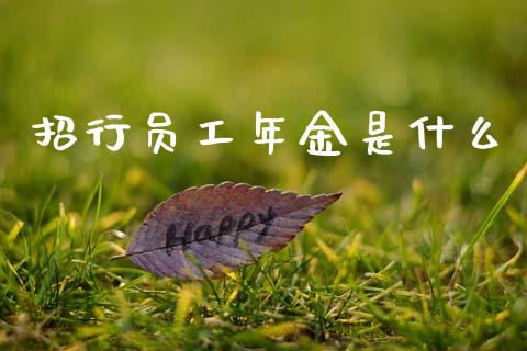 招行员工年金是什么_https://m.sdyuehang.cn_恒指直播_第1张