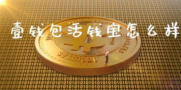 壹钱包活钱宝怎么样_https://m.sdyuehang.cn_德指直播室_第1张