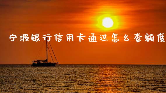 宁波银行信用卡通过怎么查额度_https://m.sdyuehang.cn_恒指直播_第1张
