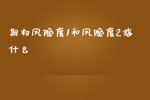 期权风险度1和风险度2指什么_https://m.sdyuehang.cn_国际期货恒指直播间_第1张