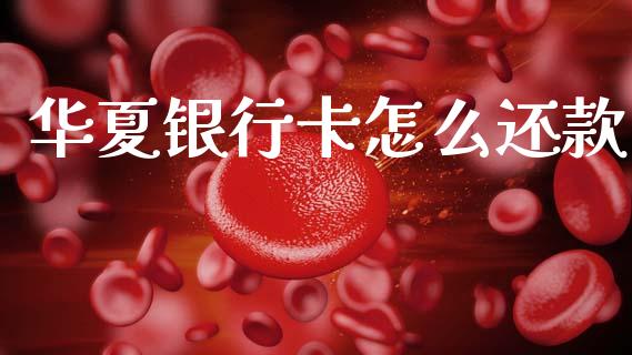 华夏银行卡怎么还款_https://m.sdyuehang.cn_纳指直播喊单_第1张