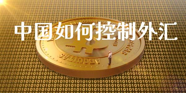 中国如何控制外汇_https://m.sdyuehang.cn_纳指直播喊单_第1张