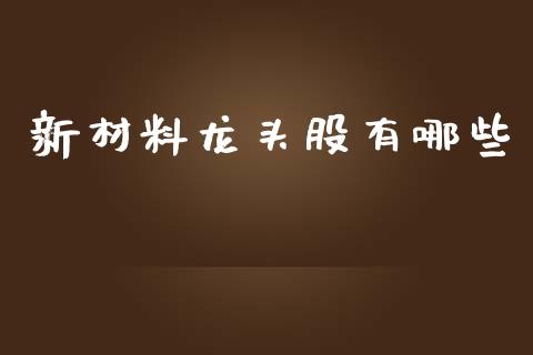 新材料龙头股有哪些_https://m.sdyuehang.cn_恒指直播_第1张
