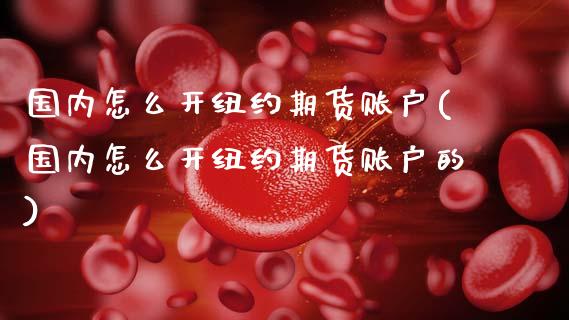 国内怎么开纽约期货账户(国内怎么开纽约期货账户的)_https://m.sdyuehang.cn_恒指直播_第1张