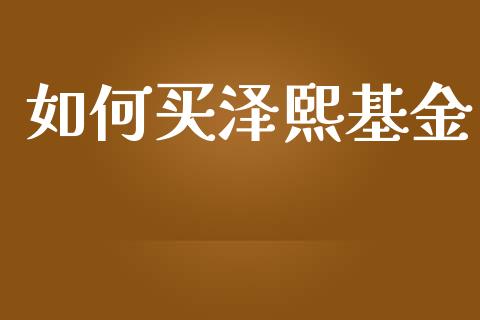 如何买泽熙基金_https://m.sdyuehang.cn_国际期货恒指直播间_第1张