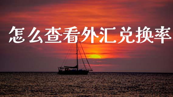 怎么查看外汇兑换率_https://m.sdyuehang.cn_德指直播室_第1张