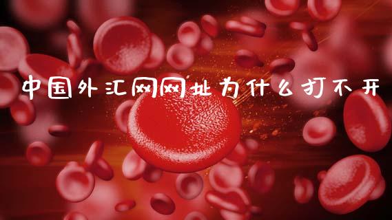 中国外汇网网址为什么打不开_https://m.sdyuehang.cn_德指直播室_第1张