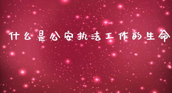 什么是公安执法工作的生命_https://m.sdyuehang.cn_恒指直播_第1张