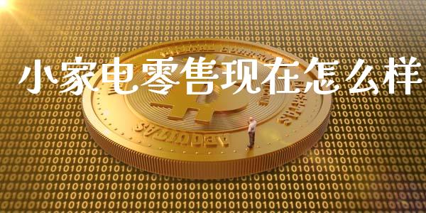 小家电零售现在怎么样_https://m.sdyuehang.cn_德指直播室_第1张