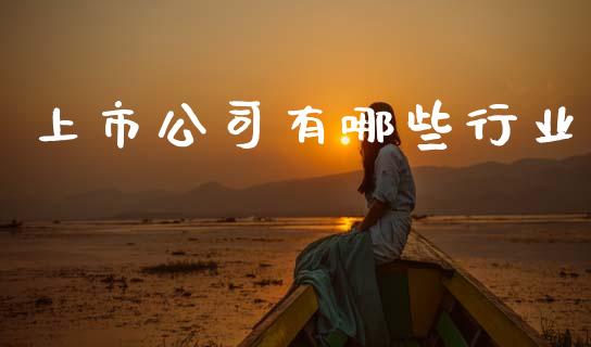 上市公司有哪些行业_https://m.sdyuehang.cn_德指直播室_第1张