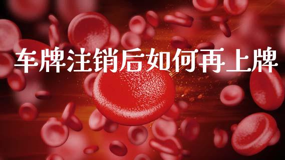 车牌注销后如何再上牌_https://m.sdyuehang.cn_纳指直播喊单_第1张